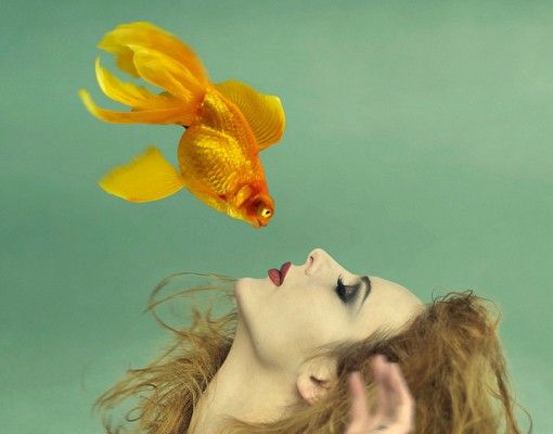 Brievenbussen Kiss Of A Goldfish
