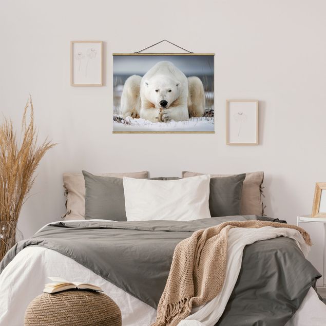 Stoffen schilderij met posterlijst Contemplative Polar Bear