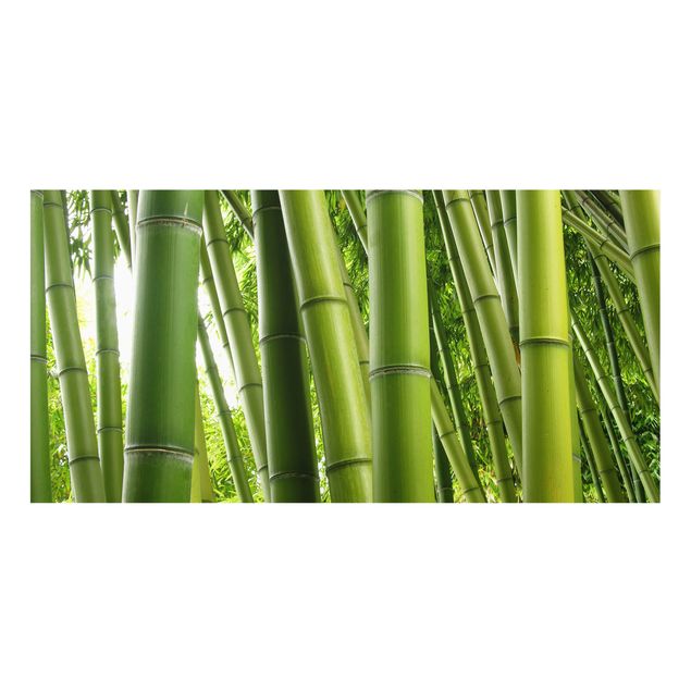 Spatscherm keuken Bamboo Trees