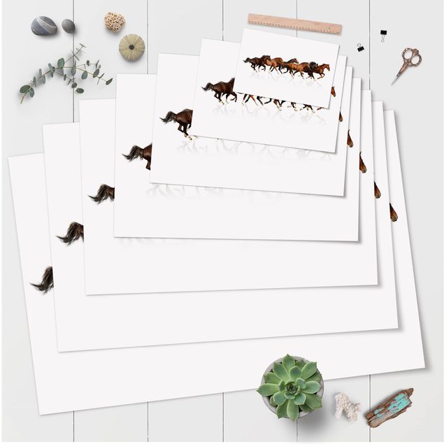 Posters Horse Herd