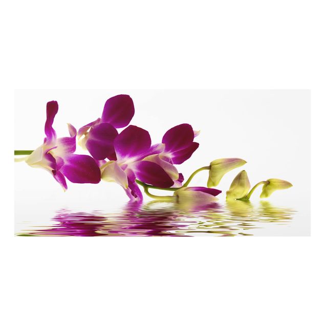 Spatscherm keuken Pink Orchid Waters