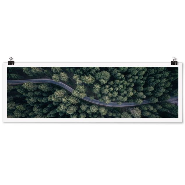 Posters Aerial View - Forest Road From The Top