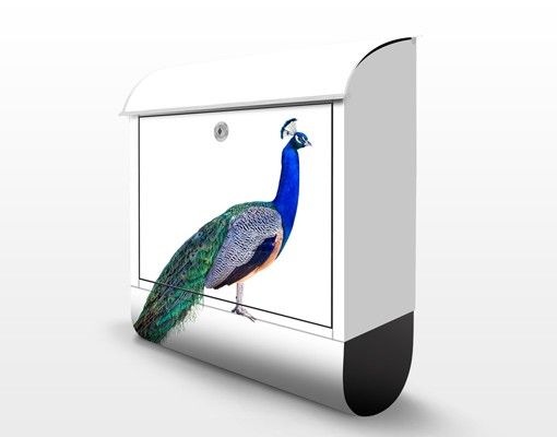 Brievenbussen Peacock