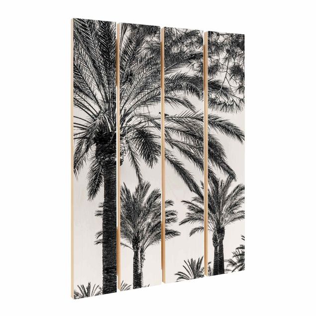 Houten schilderijen op plank Palm Trees At Sunset Black And White