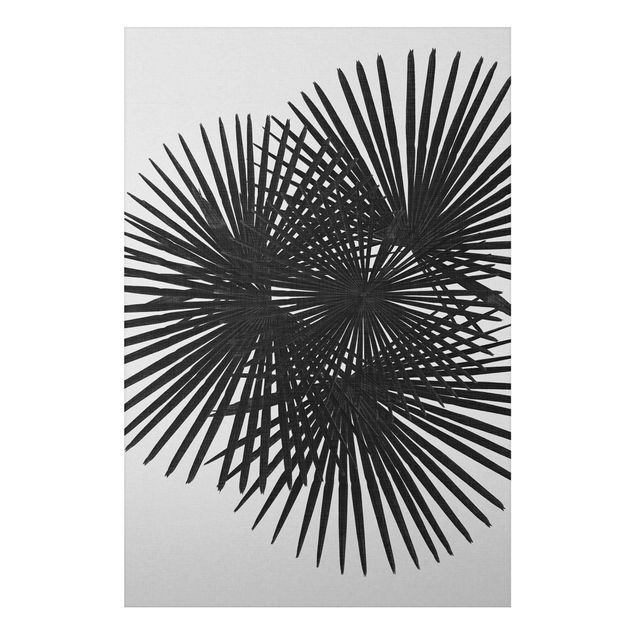 Aluminium Dibond schilderijen Palm Leaves In Black And White