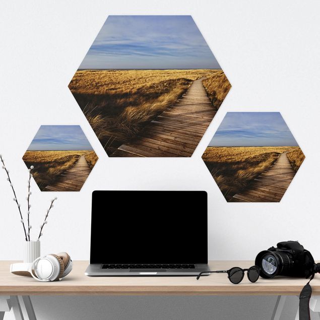 Hexagons Forex schilderijen Dune Path On Sylt
