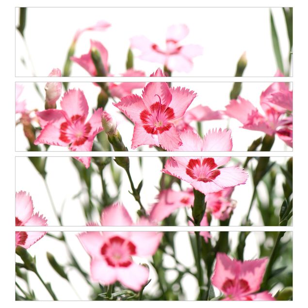 Meubelfolie IKEA Malm Ladekast Pink Flowers