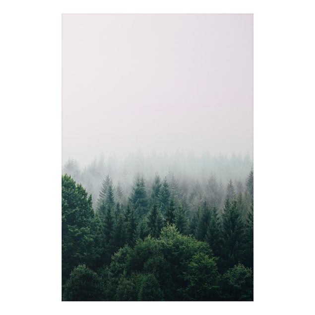 Aluminium Dibond schilderijen Foggy Forest Twilight