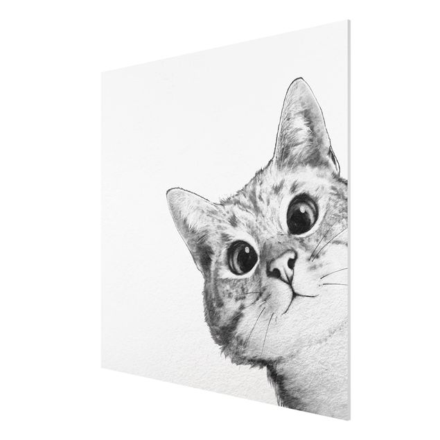 Forex schilderijen Illustration Cat Drawing Black And White