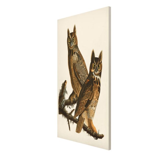 Magneetborden Vintage Board Two Large Owls