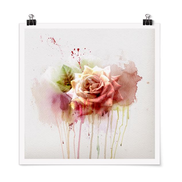 Posters Watercolour Rose