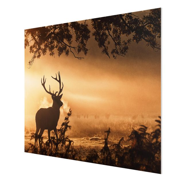 Forex schilderijen Deer In The Winter Forest