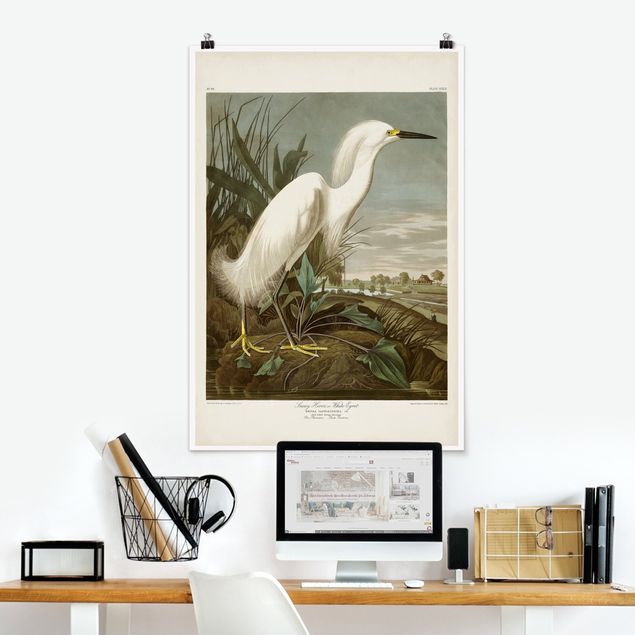 Posters Vintage Board White Heron I