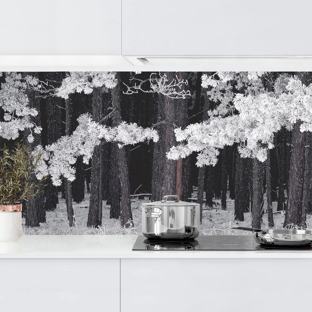 Achterwand voor keuken en zwart en wit Forest With Hoarfrost In Austria