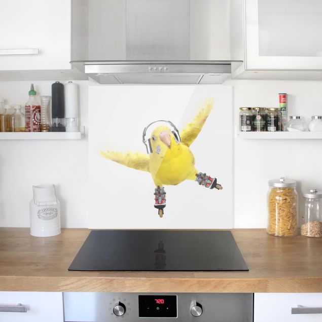Spatscherm keuken Skate Parakeet
