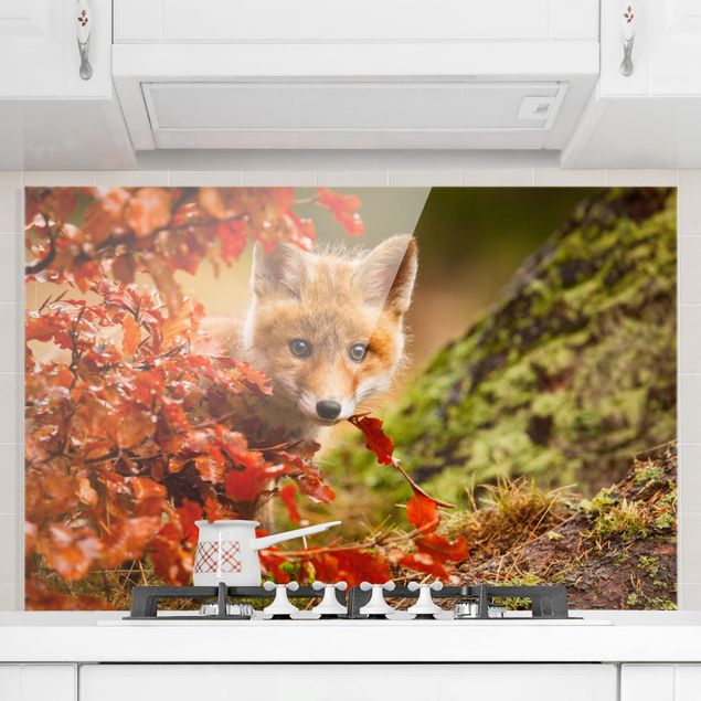 Spatscherm keuken Fox In Autumn