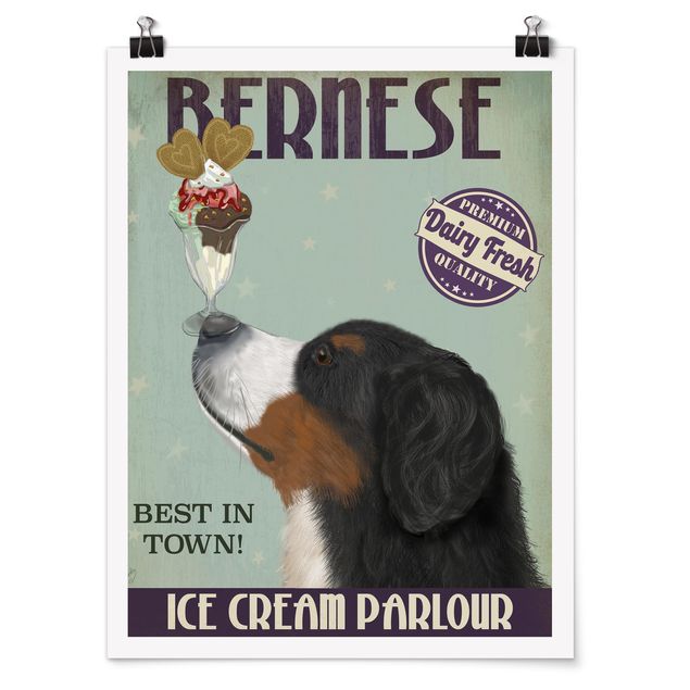 Posters Bernese Mountain Dog With Ice