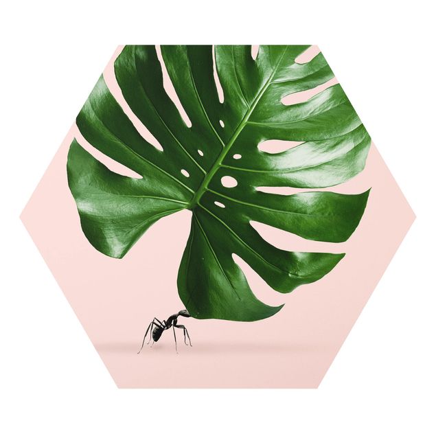 Hexagons Forex schilderijen Ant With Monstera Leaf