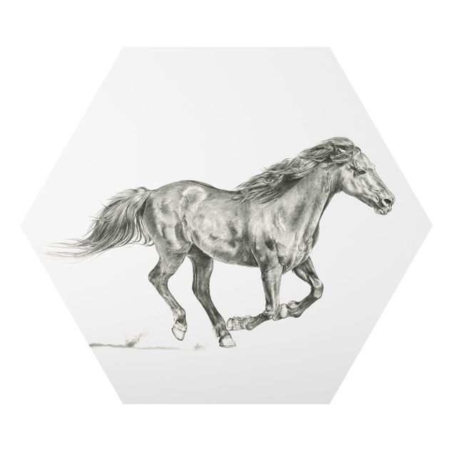 Hexagons Aluminium Dibond schilderijen Wild Horse Trial - Mare