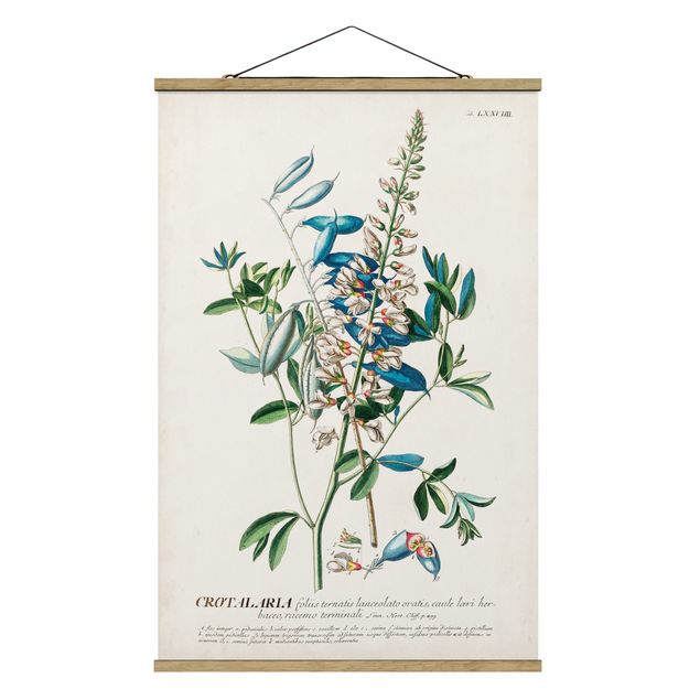 Stoffen schilderij met posterlijst Vintage Botanical Illustration Legumes