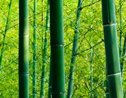 Wastafelonderkasten Bamboo Forest No.2