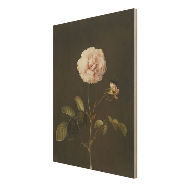 Houten schilderijen Barbara Regina Dietzsch - French Rose With Bumblbee