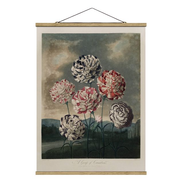 Stoffen schilderij met posterlijst Botany Vintage Illustration Blue And Red Carnations