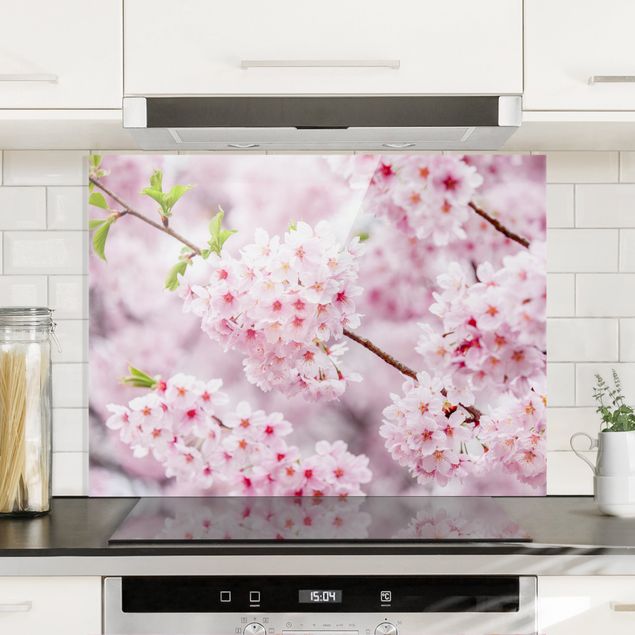 Spatscherm keuken Japanese Cherry Blossoms