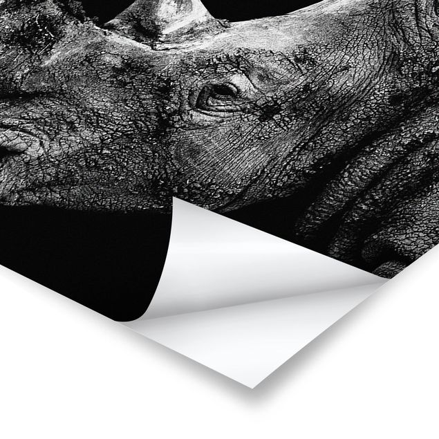 Posters Rhino Duel