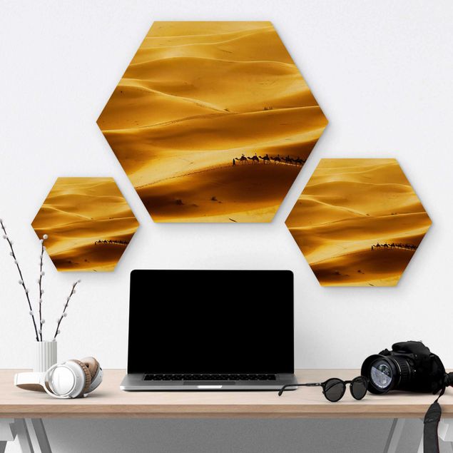 Hexagons houten schilderijen Golden Dunes
