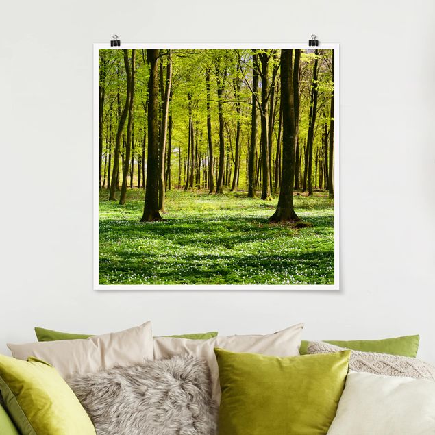 Posters Forest Meadow