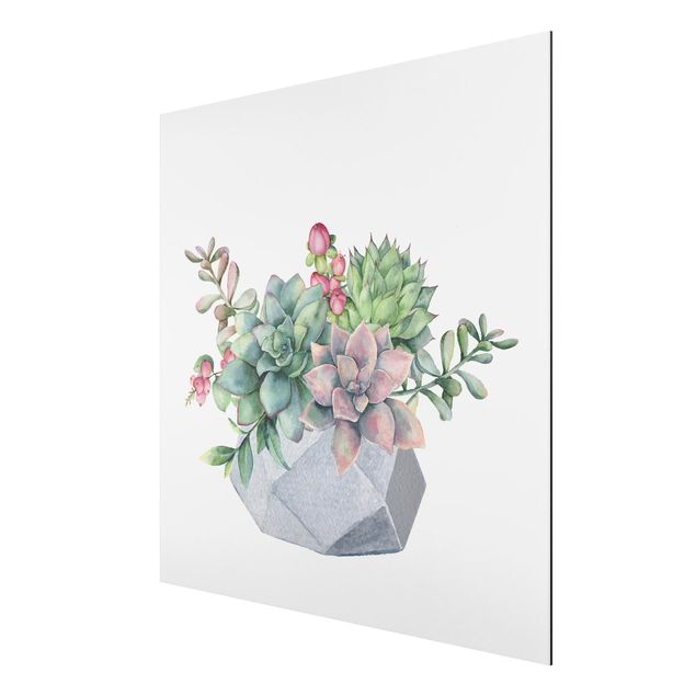 Aluminium Dibond schilderijen Watercolour Succulents Illustration