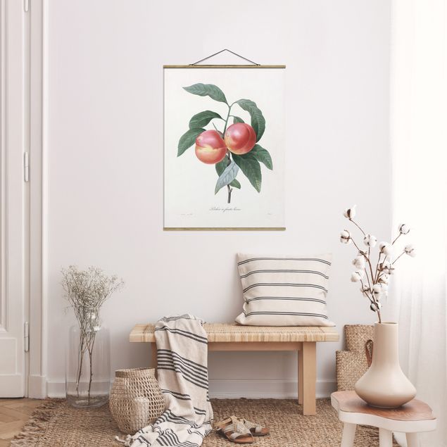 Stoffen schilderij met posterlijst Botany Vintage Illustration Peach