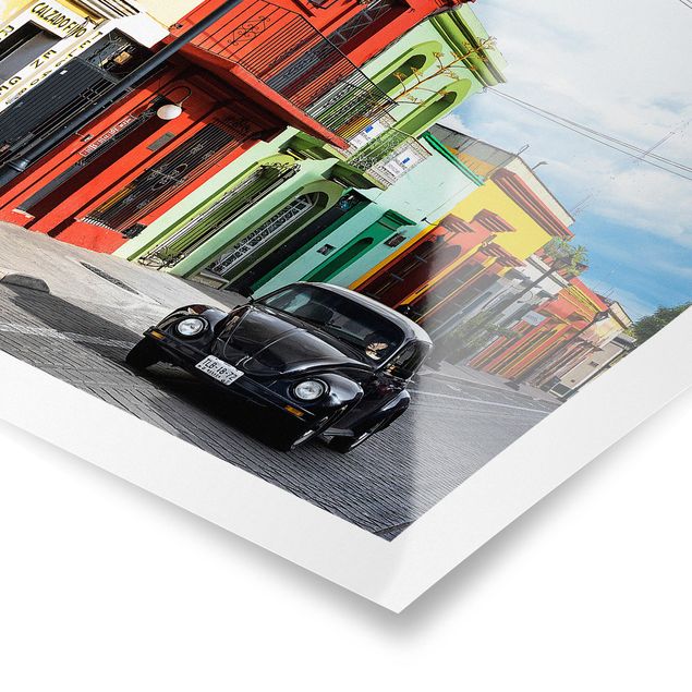 Posters Colourful Facades Black Beetle
