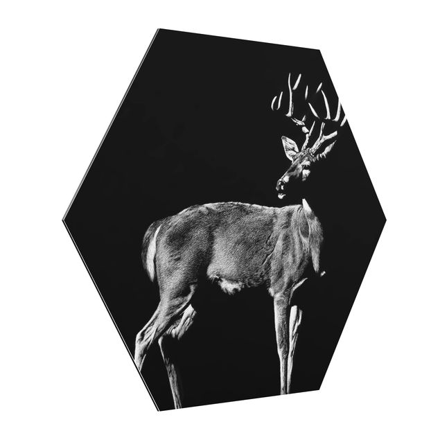 Hexagons Aluminium Dibond schilderijen Deer In The Dark