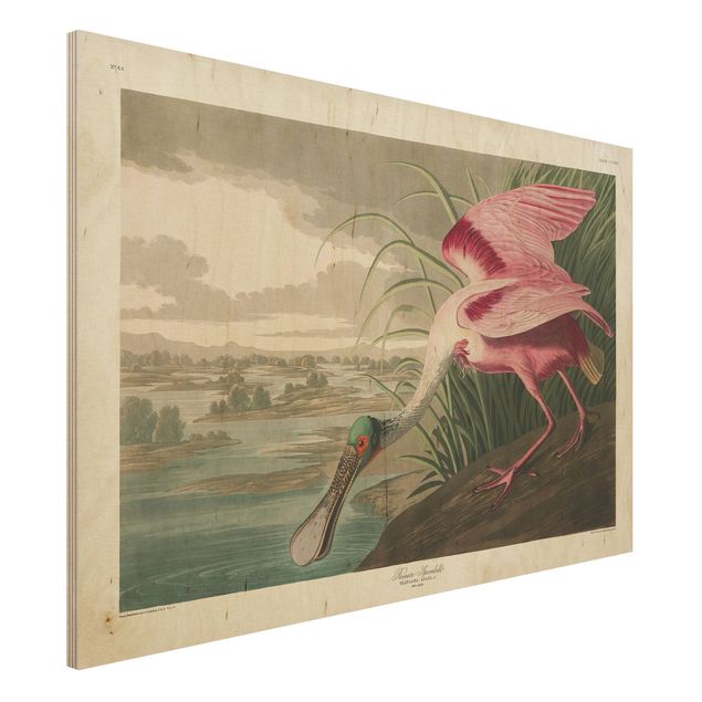 Houten schilderijen Vintage Board Pink Sturgeon