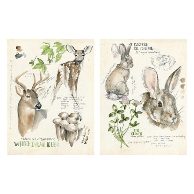 Canvas schilderijen - 2-delig  Wilderness Journal - Deer And Rabbits Set II