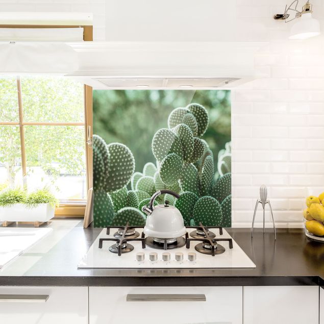 Spatscherm keuken Cacti