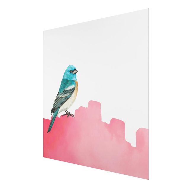 Aluminium Dibond schilderijen Bird On Pink Backdrop