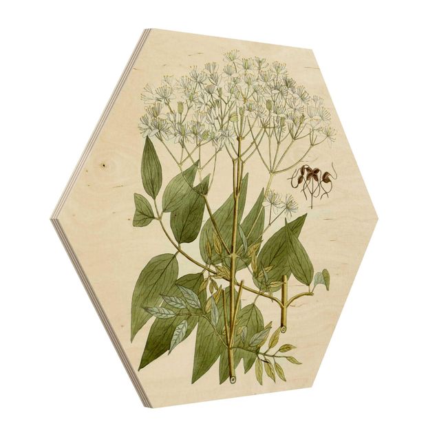 Hexagons houten schilderijen Wild Herbs Board V