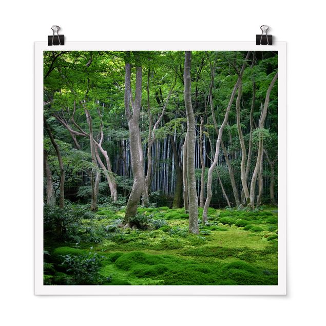 Posters Japanese Forest