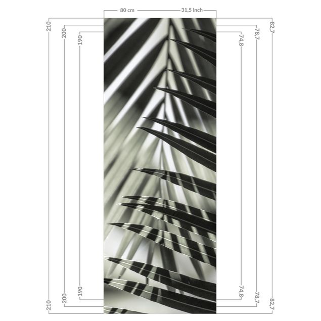 Duschrückwand - Schattenspiel auf Palmenwedel