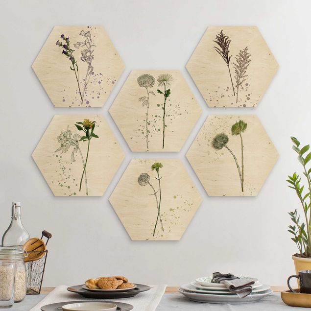 Hexagons houten schilderijen - 6-delig Botanical Watercolour Set II