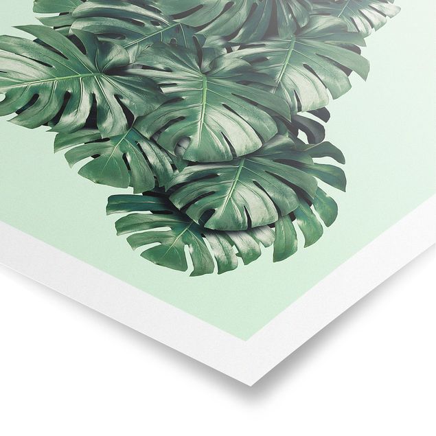 Posters Peacock With Monstera Leaves