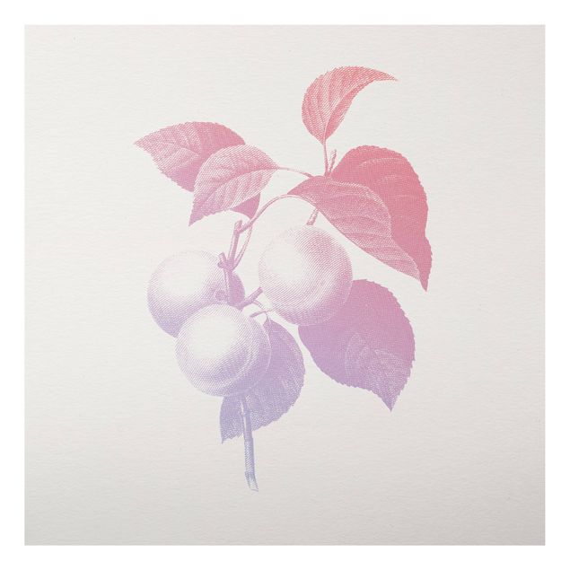 Aluminium Dibond schilderijen Modern Vintage Botanik Peach Light Pink Violet
