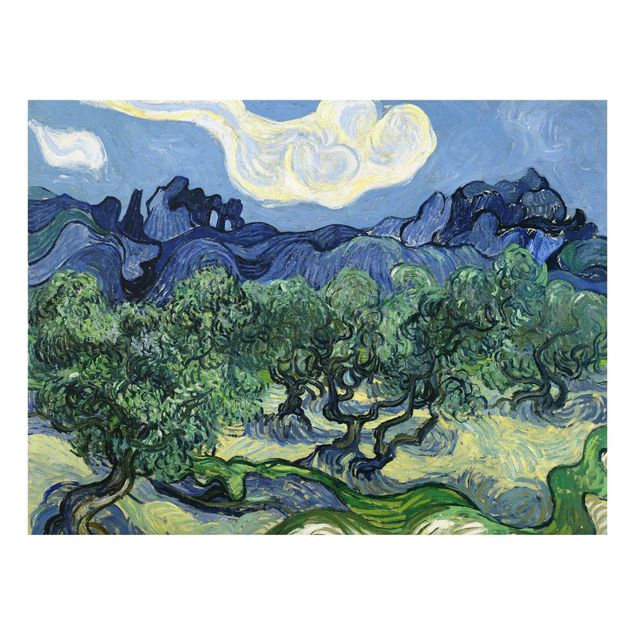 Spatscherm keuken Vincent van Gogh - Olive Trees