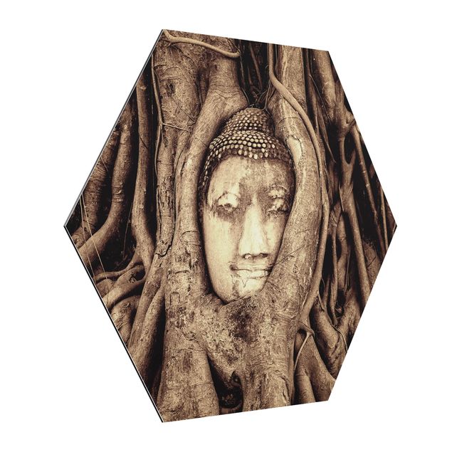 Hexagons Aluminium Dibond schilderijen Buddha In Ayutthaya Lined From Tree Roots In Brown