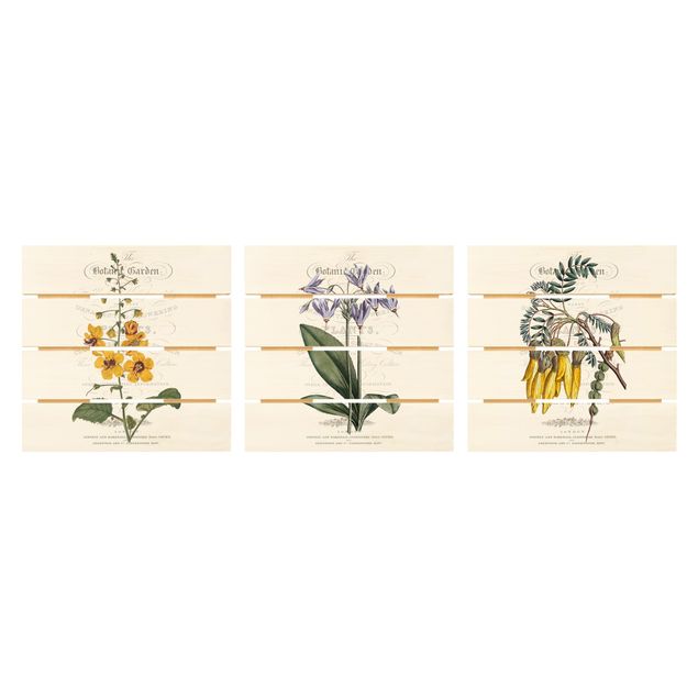 Houten schilderijen op plank - 3-delig Botanical Tableau Set I