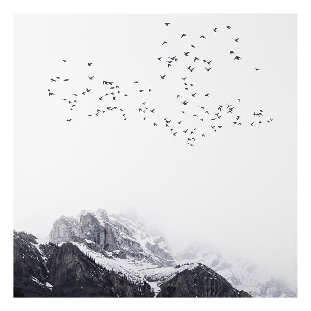Aluminium Dibond schilderijen Flock Of Birds In Front Of Mountains Black And White