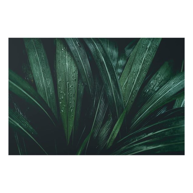 Spatscherm keuken Green Palm Leaves